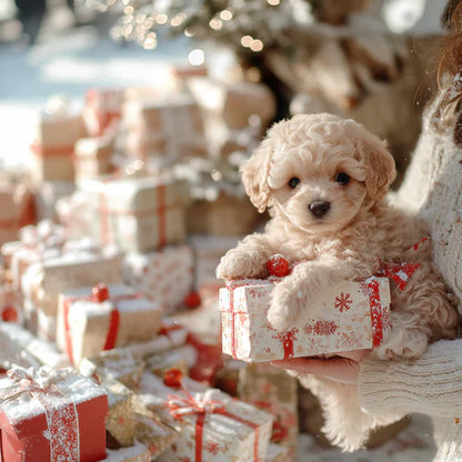 🐶🌭Nicoo - Min realistiske robothvalp