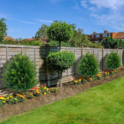 UV-Resistant Artificial Cedar Ball Tree