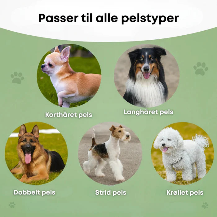 Hundborste som stoppar fällning och håller hemmet rent