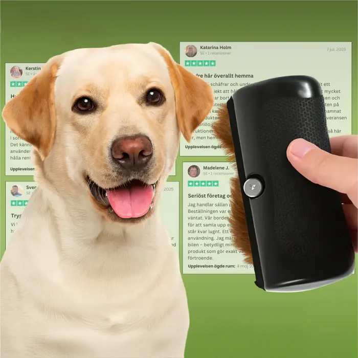 Hundborste som stoppar fällning och håller hemmet rent