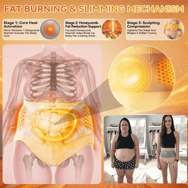 🛡️2026 Moringa & Berberine 4-in-1 Micro-Particle Shaping & Fat Burning Shorts