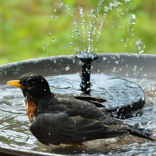 Solar Fountain – Floating, Power-Free, and Waterproof