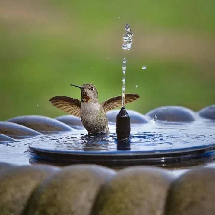 Solar Fountain – Floating, Power-Free, and Waterproof