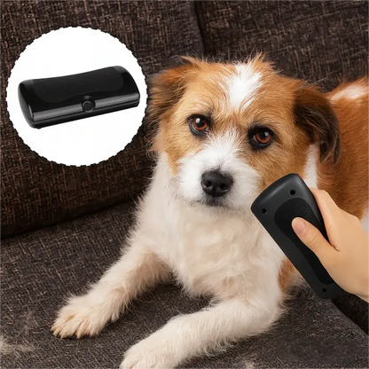 Hundborste som stoppar fällning och håller hemmet rent