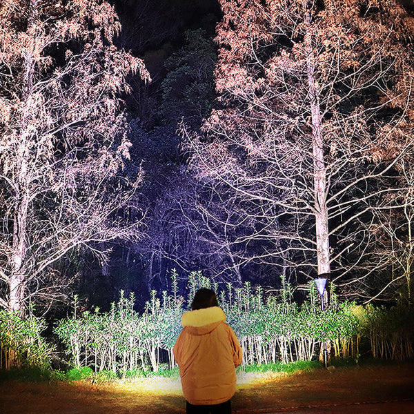 🔥2026 Superutrustning för utomhusbruk🔥Superljusstark uppladdningsbar pannlampa med hög effekt